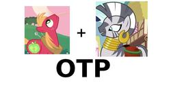 Size: 1024x563 | Tagged: safe, big macintosh, zecora, pony, zebra, g4, crack shipping, exploitable meme, meme, otp, ship:macora, shipping, simple background, vector, white background