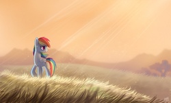Size: 1001x599 | Tagged: dead source, safe, artist:ruhje, rainbow dash, pegasus, pony, g4, crepuscular rays, female, field, mare, scenery, solo
