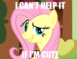 Size: 601x466 | Tagged: safe, fluttershy, pegasus, pony, g4, cute, female, image macro, mare, text