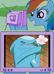 Size: 564x770 | Tagged: safe, rainbow dash, pony, wobbuffet, g4, exploitable meme, meme, pokémon, tv meme