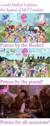 Size: 626x1584 | Tagged: safe, edit, berry punch, berryshine, g4, babylon 5, brony, bronydom, explaining the fandom, fandom, londo mollari, londo the brony, photo