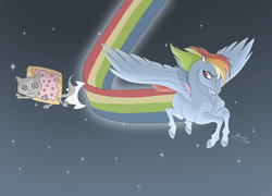 Size: 900x649 | Tagged: safe, artist:almairis, rainbow dash, cat, pegasus, pony, g4, 2011, blue background, bonk, dizzy, duo, female, flying, gradient background, grin, hoers, mare, nyan cat, nyan dash, rainbow trail, signature, simple background, smiling, space, speed trail, stars, swirly eyes
