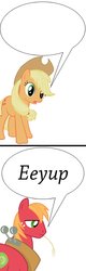 Size: 700x2188 | Tagged: safe, applejack, big macintosh, earth pony, pony, g4, exploitable, male, stallion