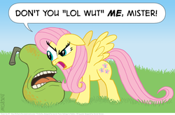 Size: 1190x779 | Tagged: safe, artist:kturtle, fluttershy, pegasus, pony, g4, artifact, biting pear of salamanca, dialogue, duo, female, floppy ears, lolwut, mare, pear, reaction image, spread wings, stare, wings