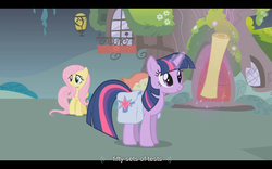 Size: 1024x640 | Tagged: safe, screencap, fluttershy, twilight sparkle, dragonshy, g4, saddle bag, youtube caption