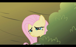 Size: 1024x640 | Tagged: safe, screencap, fluttershy, dragonshy, g4, steam, youtube caption