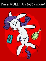 Size: 613x812 | Tagged: safe, artist:toonbat, rarity, donkey, hybrid, mule, pony, unicorn, a dog and pony show, g4, my little pony: friendship is magic, crying, episode reference, irony, karma, mirror, muleicorn, needs more saturation, solo, species swap