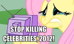 Size: 529x314 | Tagged: safe, fluttershy, pony, g4, crying, exploitable meme, image macro, meme, meta, sad, tv meme