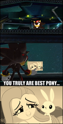 Size: 551x1083 | Tagged: artist needed, source needed, safe, edit, edited screencap, screencap, fluttershy, g4, best pony, caption, crossover, image macro, male, photoshop, shadow the hedgehog, sonic adventure 2, sonic the hedgehog, sonic the hedgehog (series)