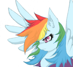 Size: 600x555 | Tagged: dead source, safe, artist:myuse, rainbow dash, pegasus, pony, g4, bust, colored pupils, ear fluff, female, mare, messy mane, profile, simple background, solo, spread wings, white background, wings