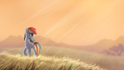 Size: 1920x1080 | Tagged: dead source, safe, artist:ruhje, rainbow dash, pegasus, pony, g4, beautiful, crepuscular rays, female, field, mare, scenery, solo, wallpaper