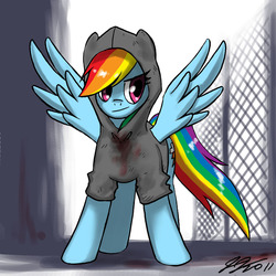 Size: 900x900 | Tagged: safe, artist:johnjoseco, rainbow dash, pony, g4, blood, clothes, female, hoodie, hunter, left 4 dead, smiling, smirk, solo, spread wings, wings