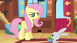 Size: 640x360 | Tagged: safe, screencap, angel bunny, fluttershy, pegasus, pony, rabbit, g4, putting your hoof down, animal, bowl, fluttershy's cottage, serious, serious face