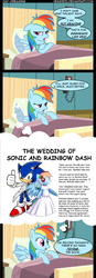 Size: 485x1400 | Tagged: source needed, safe, artist:veggie55, edit, rainbow dash, hedgehog, pegasus, pony, g4, bed, blanket, comic, crack shipping, crossover, crossover shipping, fanfic, female, male, nightmare, nightmare meme, pillow, screencap comic, shipping, sonic the hedgehog, sonic the hedgehog (series), sonicdash, straight