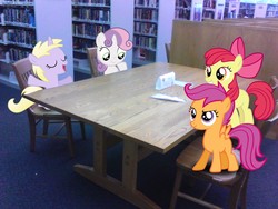 Size: 2048x1536 | Tagged: safe, artist:tokkazutara1164, apple bloom, dinky hooves, scootaloo, sweetie belle, earth pony, pony, g4, cutie mark crusaders, irl, library, photo, ponies in real life, school, vector