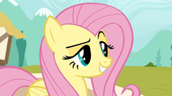 Size: 955x536 | Tagged: safe, screencap, fluttershy, pegasus, pony, g4, putting your hoof down, dreamworks face, new fluttershy, raised eyebrow, smug, smugshy, solo