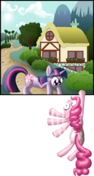 Size: 800x1492 | Tagged: safe, artist:cgeta, pinkie pie, twilight sparkle, g4, breaking the fourth wall, fourth wall, panel