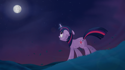 Size: 1920x1080 | Tagged: safe, artist:regolithx, twilight sparkle, g4, night