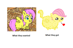 Size: 425x279 | Tagged: safe, artist:marcusmaximus, fluttershy, fluffy pony, g4, comparison, fluffyshy