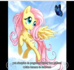 Size: 376x354 | Tagged: safe, fluttershy, butterfly, pony, g4, female, kathy lee gifford, solo, white house, youtube caption