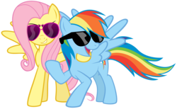 Size: 11345x7000 | Tagged: safe, artist:eugene-joe-c, fluttershy, rainbow dash, pegasus, pony, g4, absurd resolution, duo, glasses, simple background, sunglasses, swag, transparent background, vector