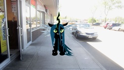Size: 4000x2248 | Tagged: safe, artist:metalgriffen69, queen chrysalis, changeling, changeling queen, g4, car, fangs, female, irl, photo, ponies in real life, sidewalk, vector
