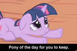 Size: 1024x672 | Tagged: safe, twilight sparkle, pony, unicorn, g4, caption, cs captions, female, floppy ears, lying down, mare, solo