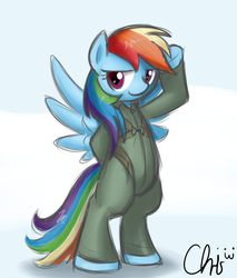 Size: 1703x2000 | Tagged: safe, artist:nekocrispy, rainbow dash, pegasus, pony, g4, clothes, duo, female, jumpsuit, mare, raised hoof, smiling, spread wings, wings