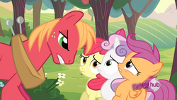 Size: 1152x648 | Tagged: safe, screencap, apple bloom, big macintosh, scootaloo, sweetie belle, earth pony, pony, g4, my little pony: friendship is magic, ponyville confidential, angry, cutie mark crusaders, hub logo, male, stallion