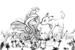 Size: 875x583 | Tagged: safe, artist:noben, angel bunny, fluttershy, deer, pegasus, pony, g4, grayscale, monochrome, sketch