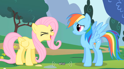 Size: 640x355 | Tagged: safe, screencap, fluttershy, rainbow dash, g4, eyes closed, frown, open mouth, smiling, spread wings, wat, youtube caption