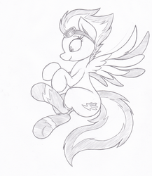 Size: 925x1066 | Tagged: safe, artist:joey darkmeat, spitfire, pegasus, pony, g4, clothes, female, mare, monochrome, sketch, socks, solo, traditional art