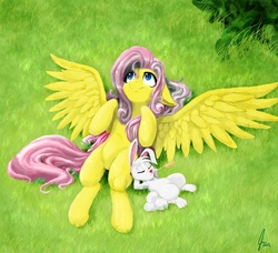 Size: 4440x4056 | Tagged: safe, artist:balderdash999, fluttershy, pegasus, pony, g4, absurd resolution, female, grass, male, mare, on back, spread wings