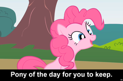 Size: 1024x672 | Tagged: safe, pinkie pie, earth pony, pony, g4, caption, cs captions, female, mare, solo