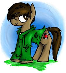 Size: 900x1000 | Tagged: safe, artist:sariasong64, earth pony, pony, edd gould (eddsworld), eddsworld, ponified