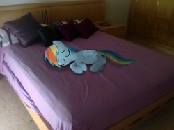 Size: 2605x1954 | Tagged: safe, artist:asideilogica, rainbow dash, pony, g4, bed, irl, photo, ponies in real life, sleeping, vector