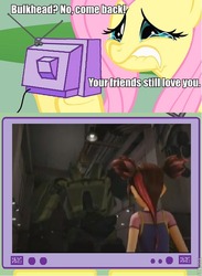 Size: 564x772 | Tagged: safe, fluttershy, pony, g4, bulkhead, exploitable meme, meme, miko, miko nakadai, transformers, tv meme