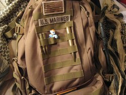 Size: 640x480 | Tagged: safe, rainbow dash, g4, blind bag, irl, marines, military, toy, us marines