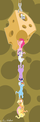 Size: 636x1920 | Tagged: safe, artist:php44, applejack, derpy hooves, fluttershy, pinkie pie, rainbow dash, rarity, twilight sparkle, mouse, g4, applemouse, cheese, derpy mouse, fluttermouse, food, hook, mane six, mousified, pinkie mouse, rainbow mouse, rarimouse, species swap, suspended, twimouse