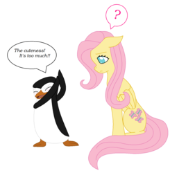 Size: 900x917 | Tagged: dead source, safe, artist:ninjagirly, fluttershy, bird, pegasus, penguin, pony, g4, crossover, cute, dreamworks, female, madagascar (dreamworks), mare, shyabetes, simple background, skipper, the penguins of madagascar, transparent background