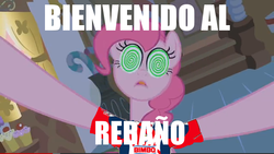 Size: 640x360 | Tagged: safe, pinkie pie, earth pony, pony, g4, chivas del guadalajara, female, football, guadalajara, hypnosis, mare, mexico, spanish, translation, welcome to the herd