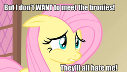 Size: 820x461 | Tagged: safe, fluttershy, pony, g4, anti-bronybait, blatant lies, caption, female, image macro, meta, solo