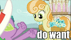 Size: 700x394 | Tagged: safe, edit, edited screencap, screencap, junebug, spike, dragon, earth pony, pony, g4, secret of my excess, animated, basket, caption, female, fingers, flower, image macro, male, mare, spike want, town hall