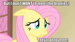 Size: 820x463 | Tagged: safe, fluttershy, g4, caption, image macro, meta