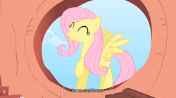 Size: 640x355 | Tagged: safe, screencap, fluttershy, pegasus, pony, g4, sonic rainboom (episode), eyes closed, female, golden oaks library, library, solo, youtube caption
