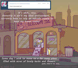Size: 1000x875 | Tagged: safe, artist:cobaltsnow, lily blossom, cat, tumblr:lily blossom answers, g4, ask, clothes, hat, manehattan, scarf
