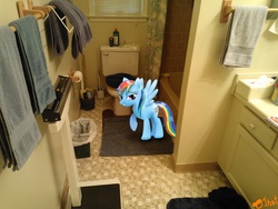 Size: 3264x2448 | Tagged: safe, artist:ojhat, rainbow dash, g4, irl, photo, ponies in real life, shower, vector, wet mane