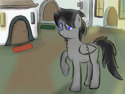 Size: 900x675 | Tagged: safe, artist:natipie, oc, oc only, oc:velocity, pony, solo