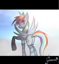 Size: 501x545 | Tagged: dead source, safe, artist:gamermac, rainbow dash, pony, g4, butt, clothes, female, plot, socks, solo, striped socks