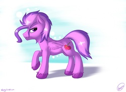 Size: 2500x1833 | Tagged: safe, artist:skipsy, oc, oc only, oc:sweet strokes, pegasus, pony, solo, unshorn fetlocks